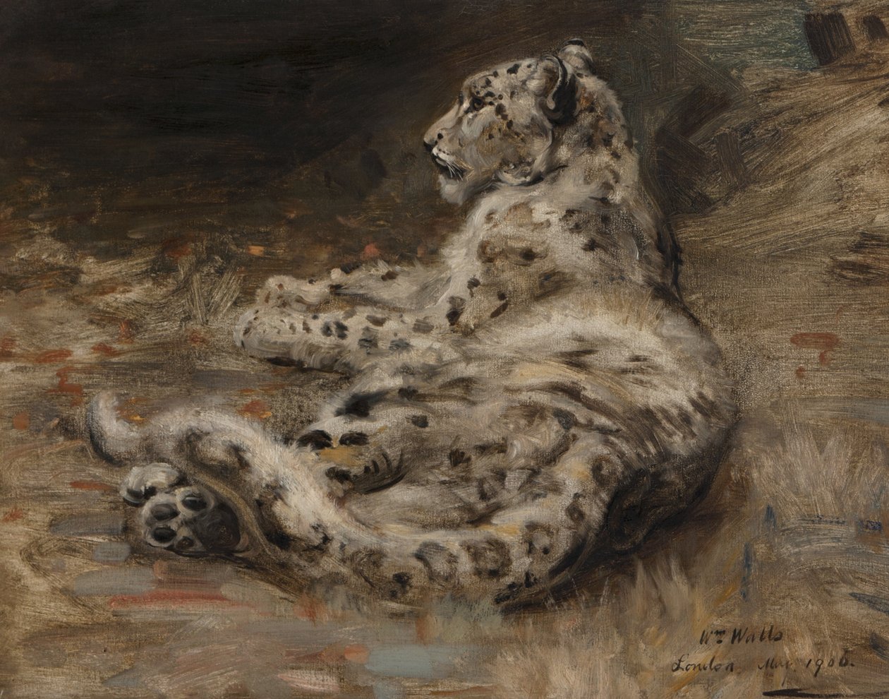 En leopard, 1906 av William Walls