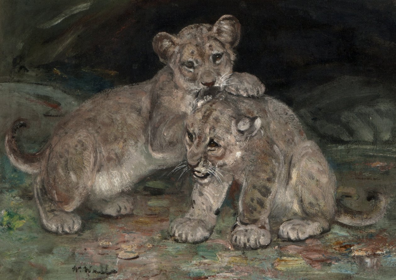 Løveunger, ca. 1906 av William Walls
