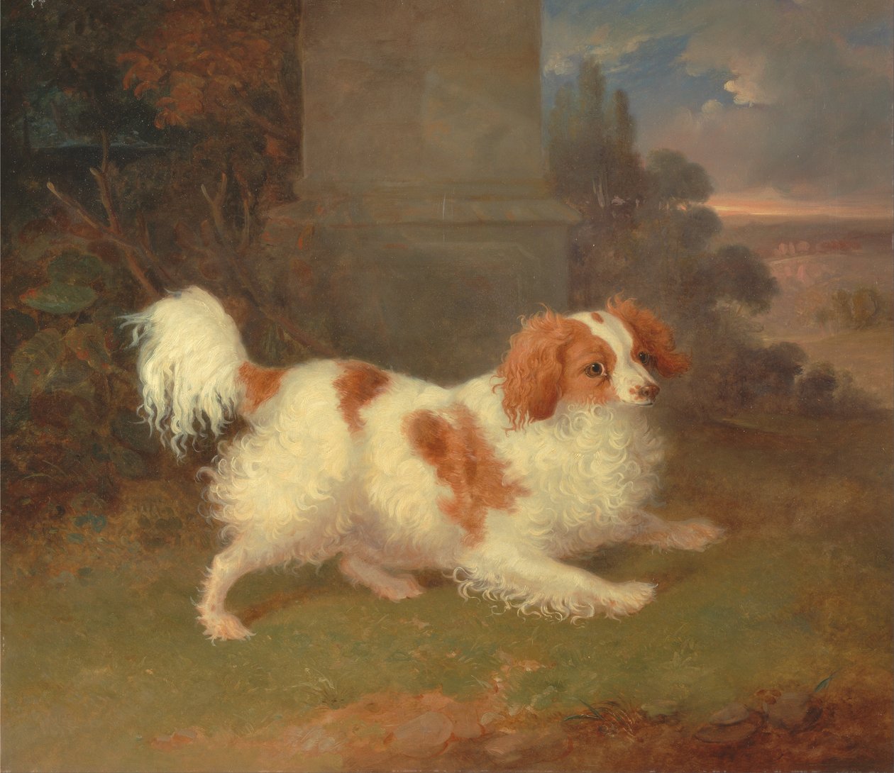 En Blenheim Spaniel av William Webb