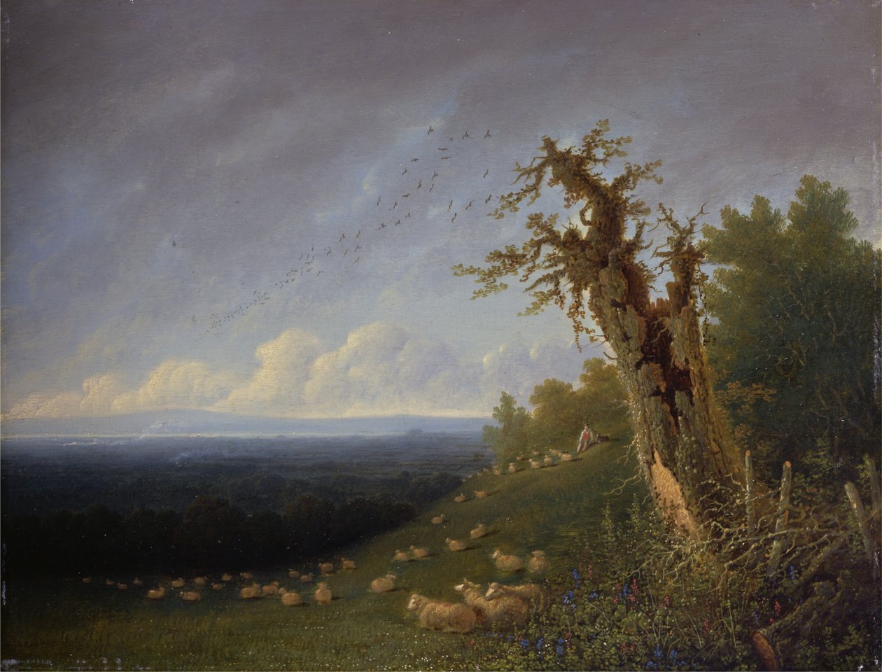 Shepherd Boy on a Hillside (olje på panel) av Joseph Mallord William Turner