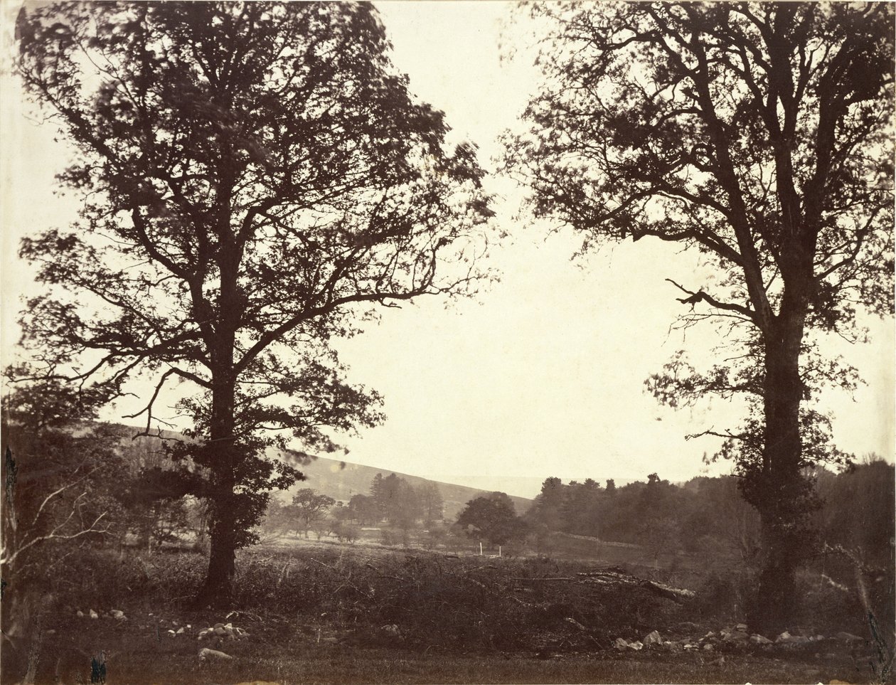 Landskap med almetrær, Ashdown, Storbritannia av William 2nd Earl of Craven