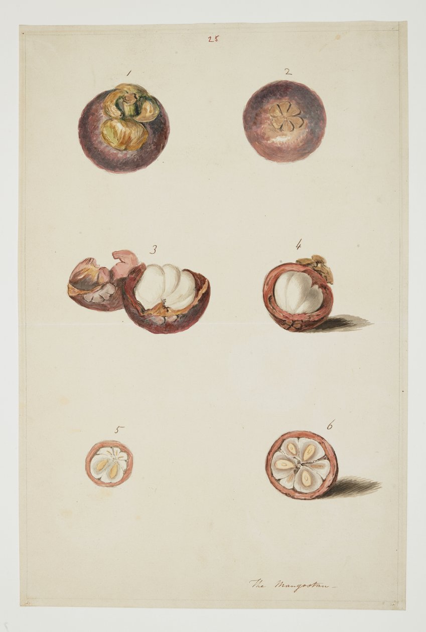 WD 961 f.25 av William Alexander