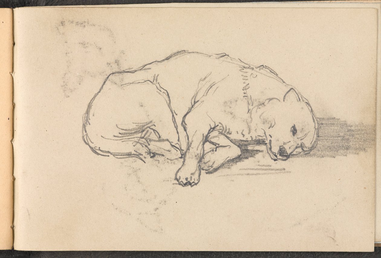Skisse av en sovende hund, 1879 ca av William Barnes Wollen