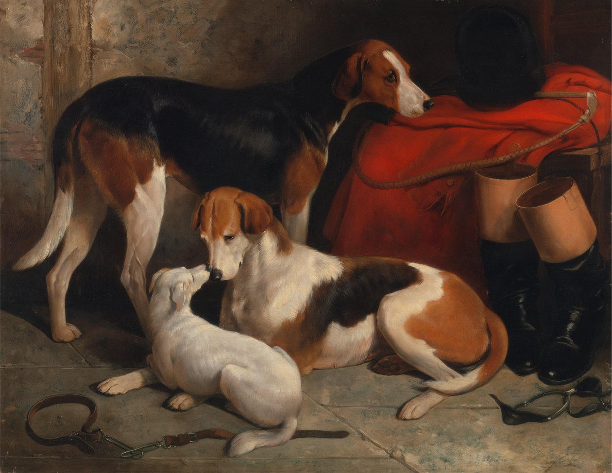 Et par revehunder med en terrier, eiendommen til Lord Henry Bentinck av William Barraud