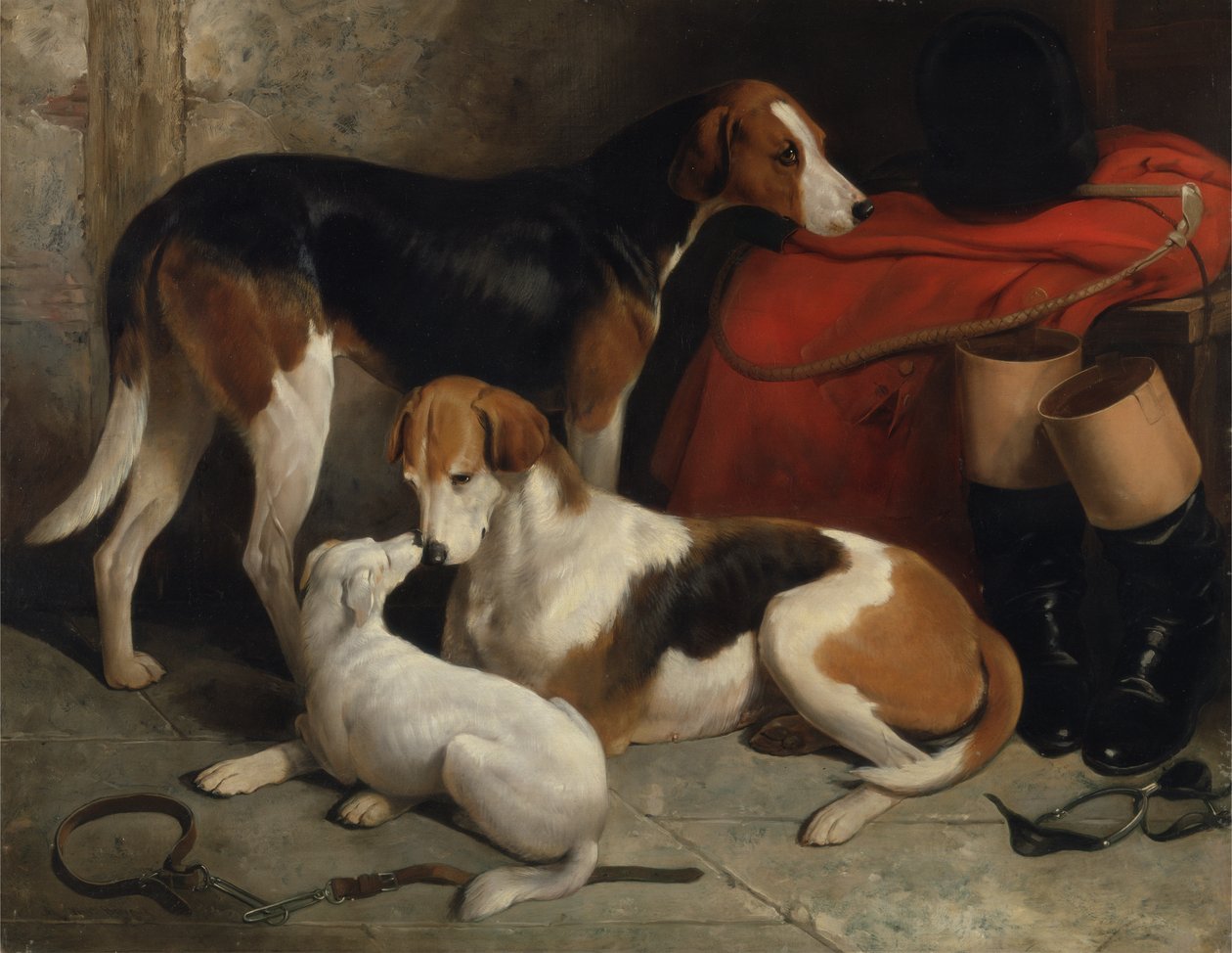 Et par av Lord Henry Bentincks Foxhounds with a Terrier, ca. 1845 (olje på lerret) av William Barraud