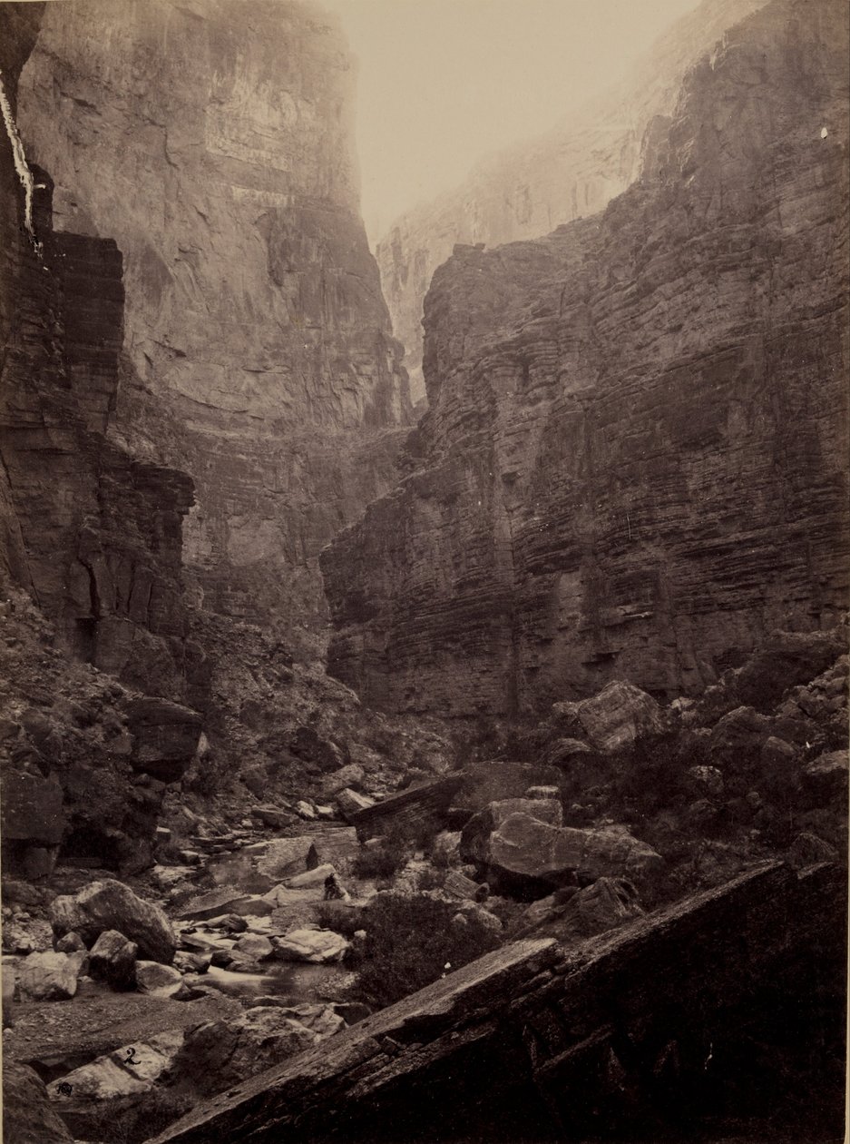 Canon of Kanab Wash, Colorado River, ser nordover av William Bell