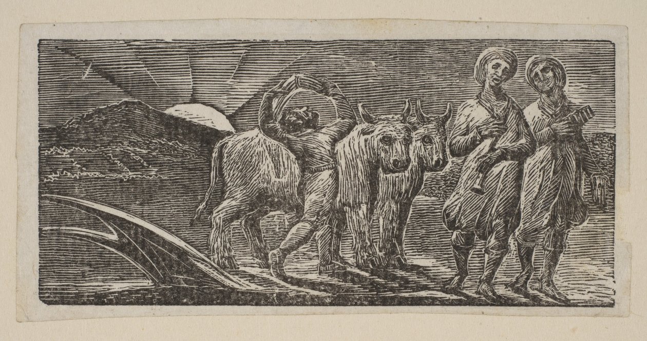 Boy Returning Joyfully, med plog og okser, fra Thorntons Pastorals of Virgil, 1821. av William Blake