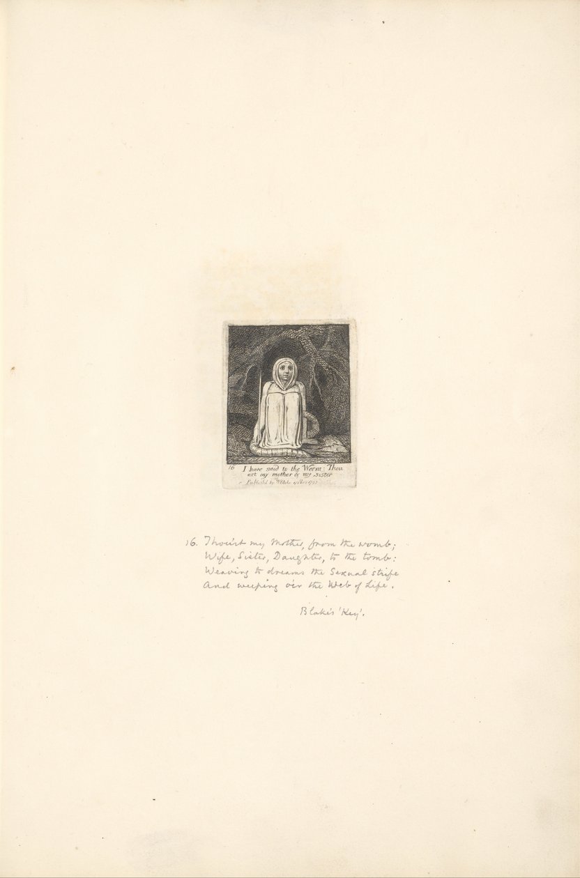 For kjønnene - The Gates of Paradise, Plate 18, har jeg sagt til ormen. . . . av William Blake