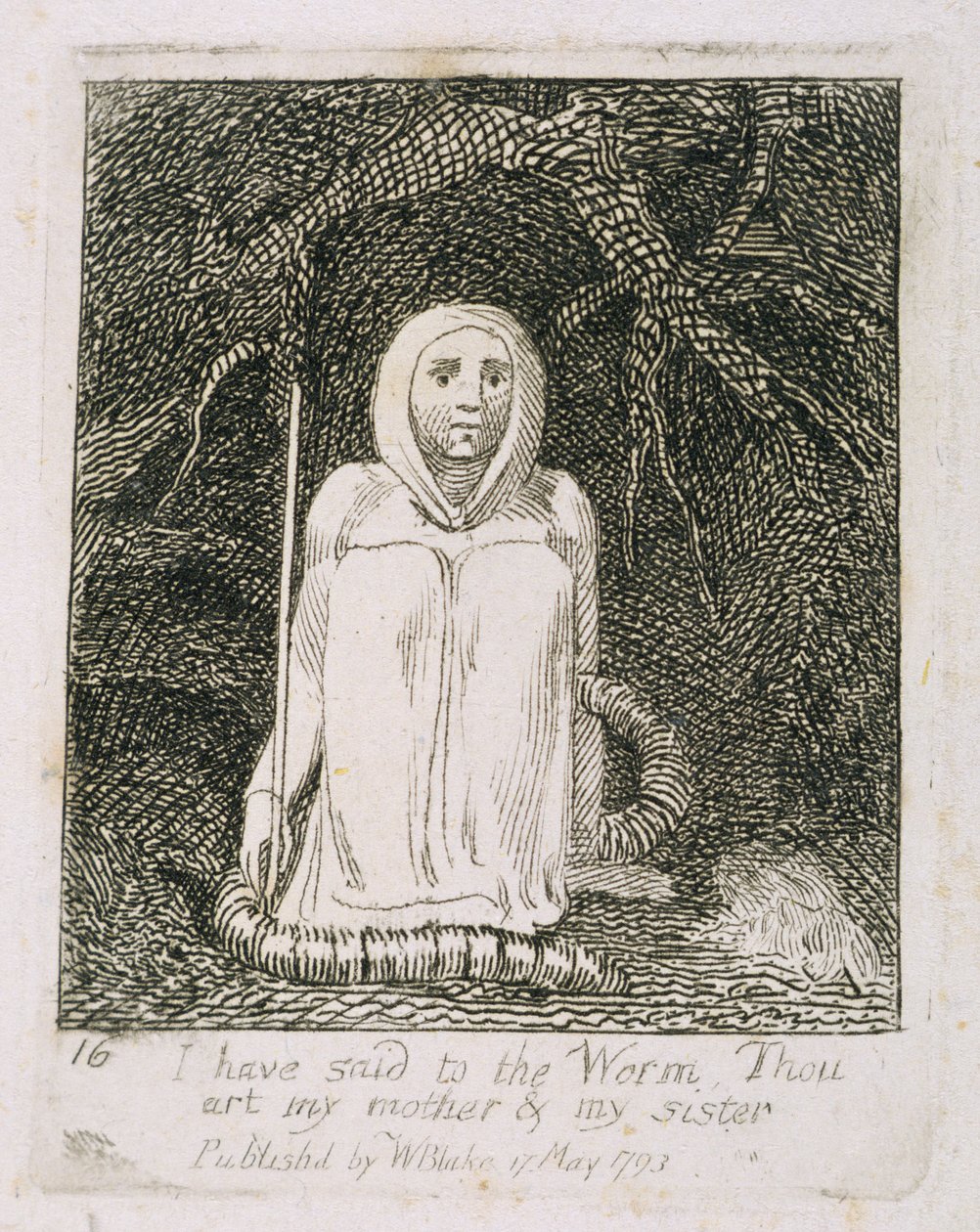 Jeg har sagt til ormen du er min mor og min søster, plate 17 fra 