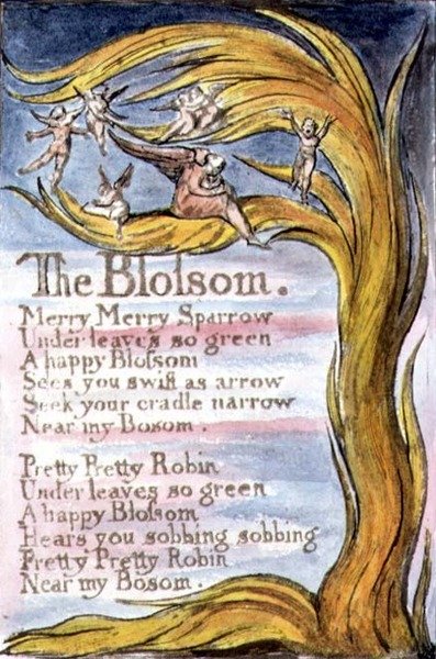 S.124-1950.pt10 The Blossom: plate 10 fra Songs of Innocence and of Experience (kopi R) c.1802-08 (etsing, blekk og akvarell) av William Blake