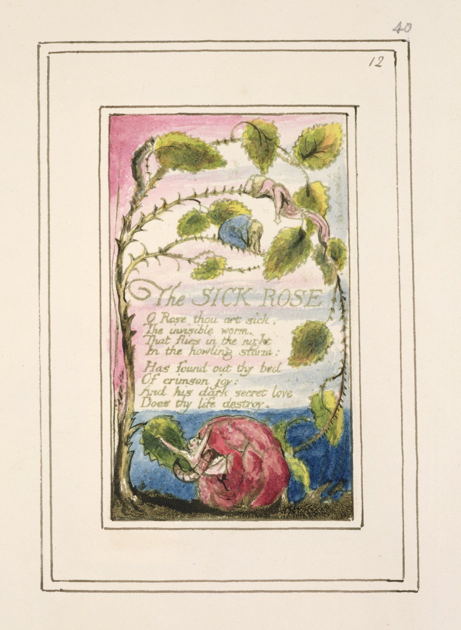 P.124-1950.pt40 The Sick Rose: plate 40 fra 