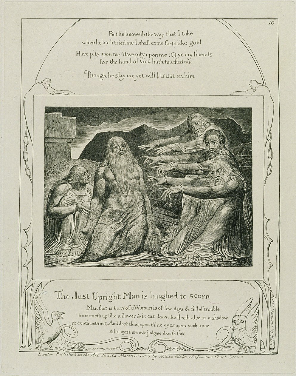 Plate 14, fra 
