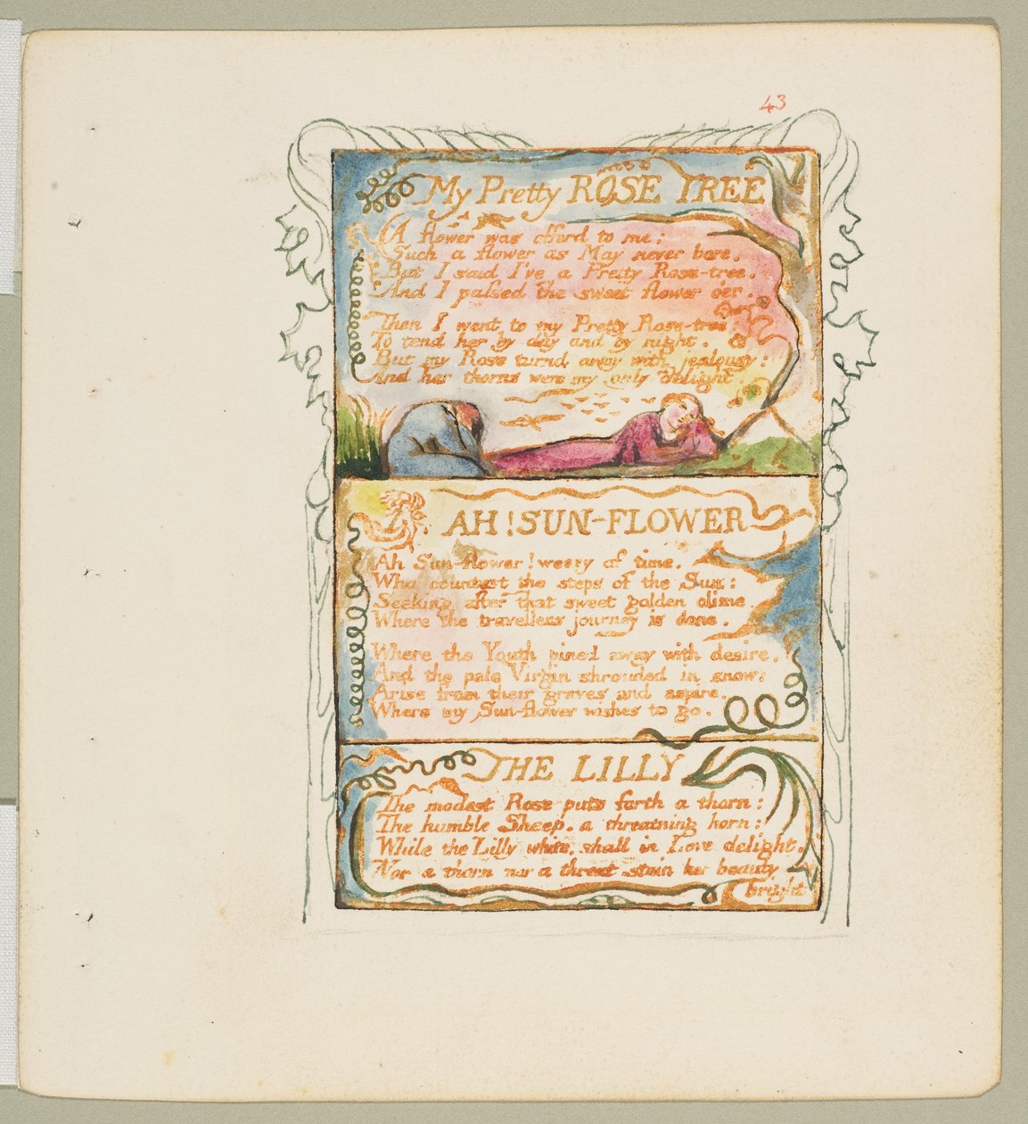 Sanger om uskyld og om erfaring: My Pretty Rose Tree, Ah! Solblomst, liljen, ca. 1825. av William Blake