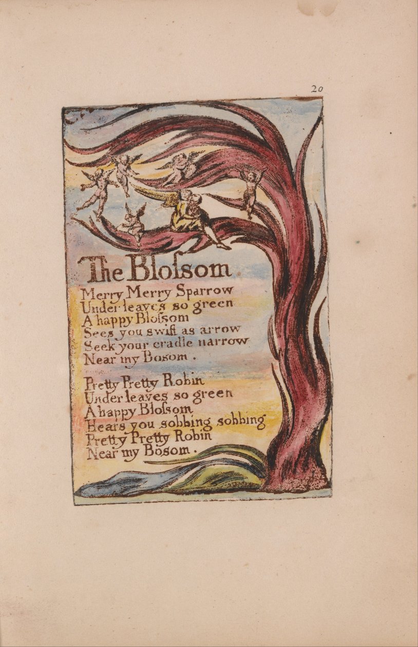 Songs of Innocence and of Experience, Plate 20, The Blossom (Bentley 11) av William Blake