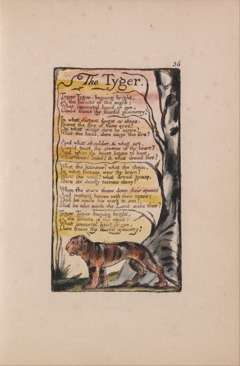 Songs of Innocence and of Experience, Plate 36, The Tyger (Bentley 42) av William Blake