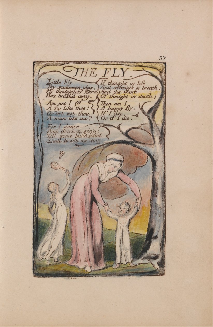 Songs of Innocence and of Experience, Plate 37, The Fly (Bentley 40) av William Blake