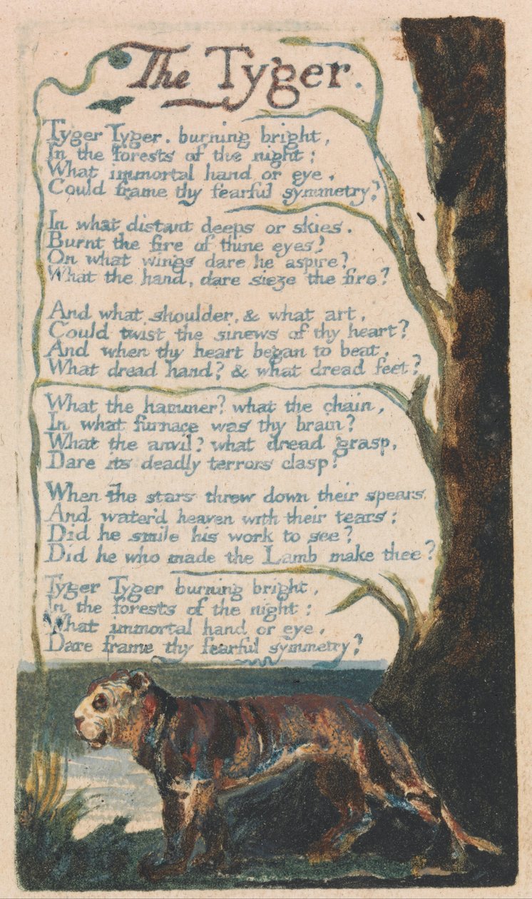 Songs of Innocence and of Experience, Plate 42, The Tyger (Bentley 42) av William Blake