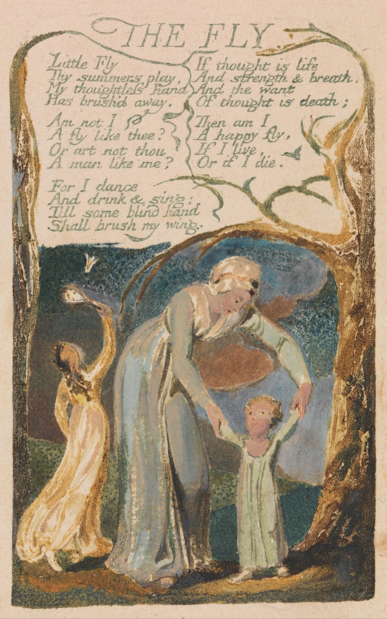 Songs of Innocence and of Experience, Plate 48, The Fly (Bentley 40) av William Blake