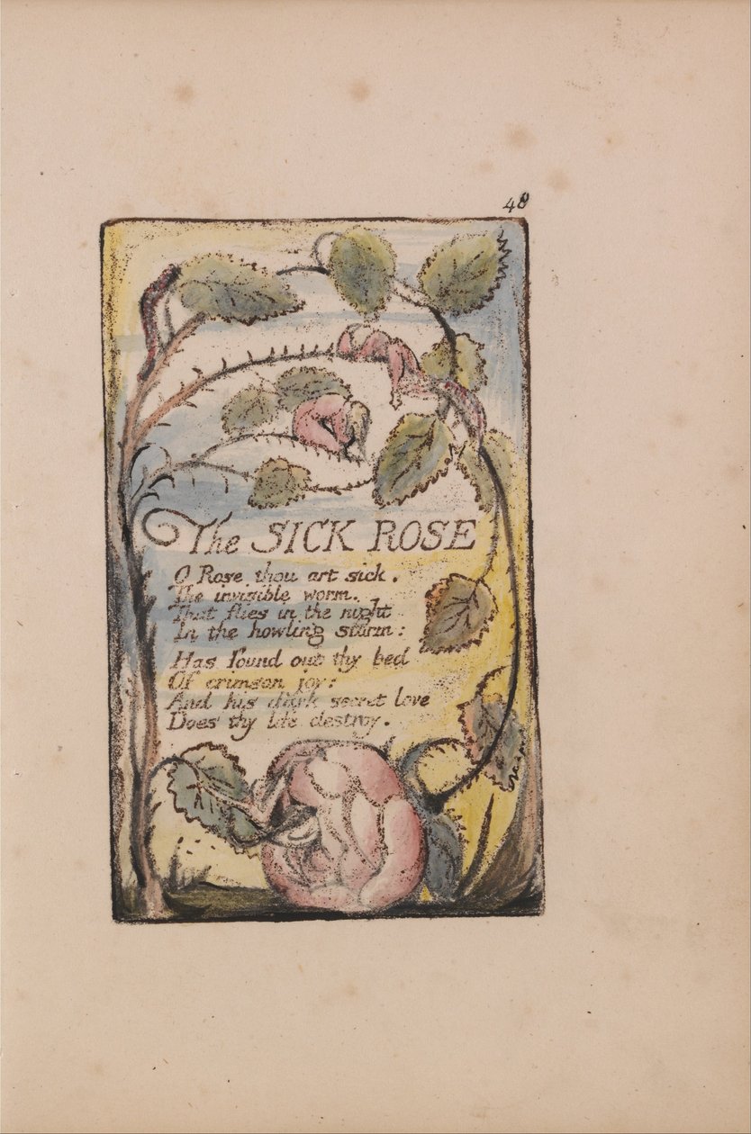 Songs of Innocence and of Experience, Plate 48, The Sick Rose (Bentley 39) av William Blake