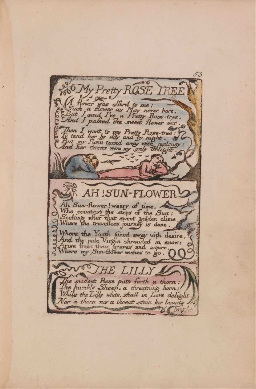 Songs of Innocence and of Experience, Plate 53, My Pretty Rose Tree, Ah! Sun-Flower, Lilly av William Blake