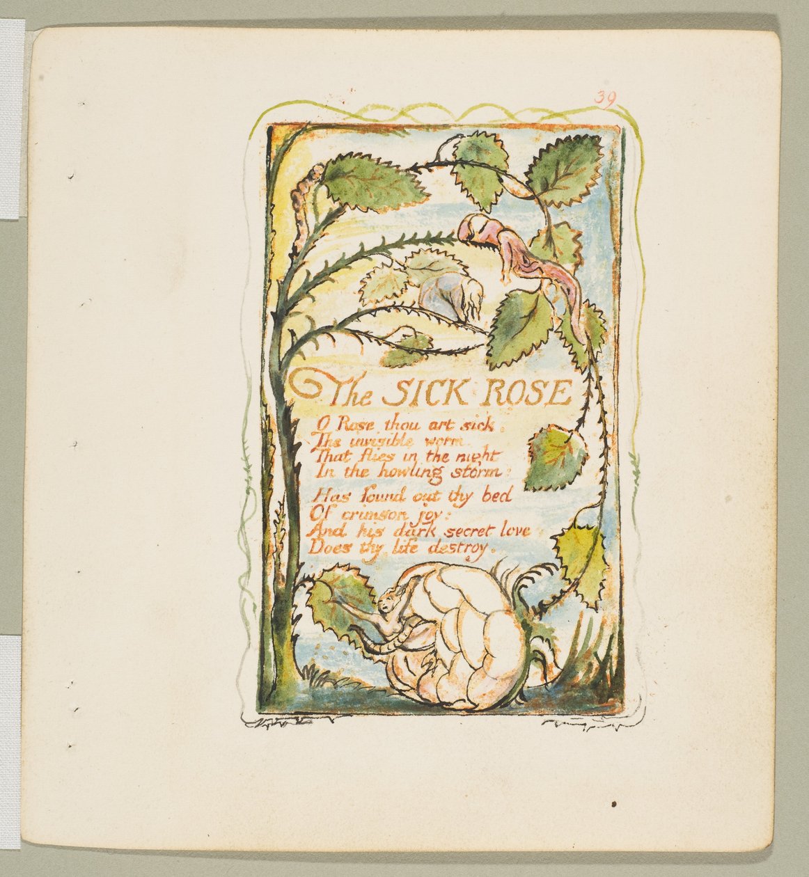 Sanger om uskyld og om erfaring: Den syke rosen, ca. 1825. av William Blake