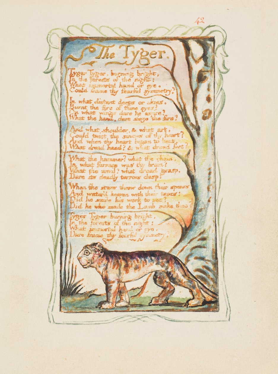Sanger om uskyld og erfaring: Tygeren, ca. 1825. av William Blake