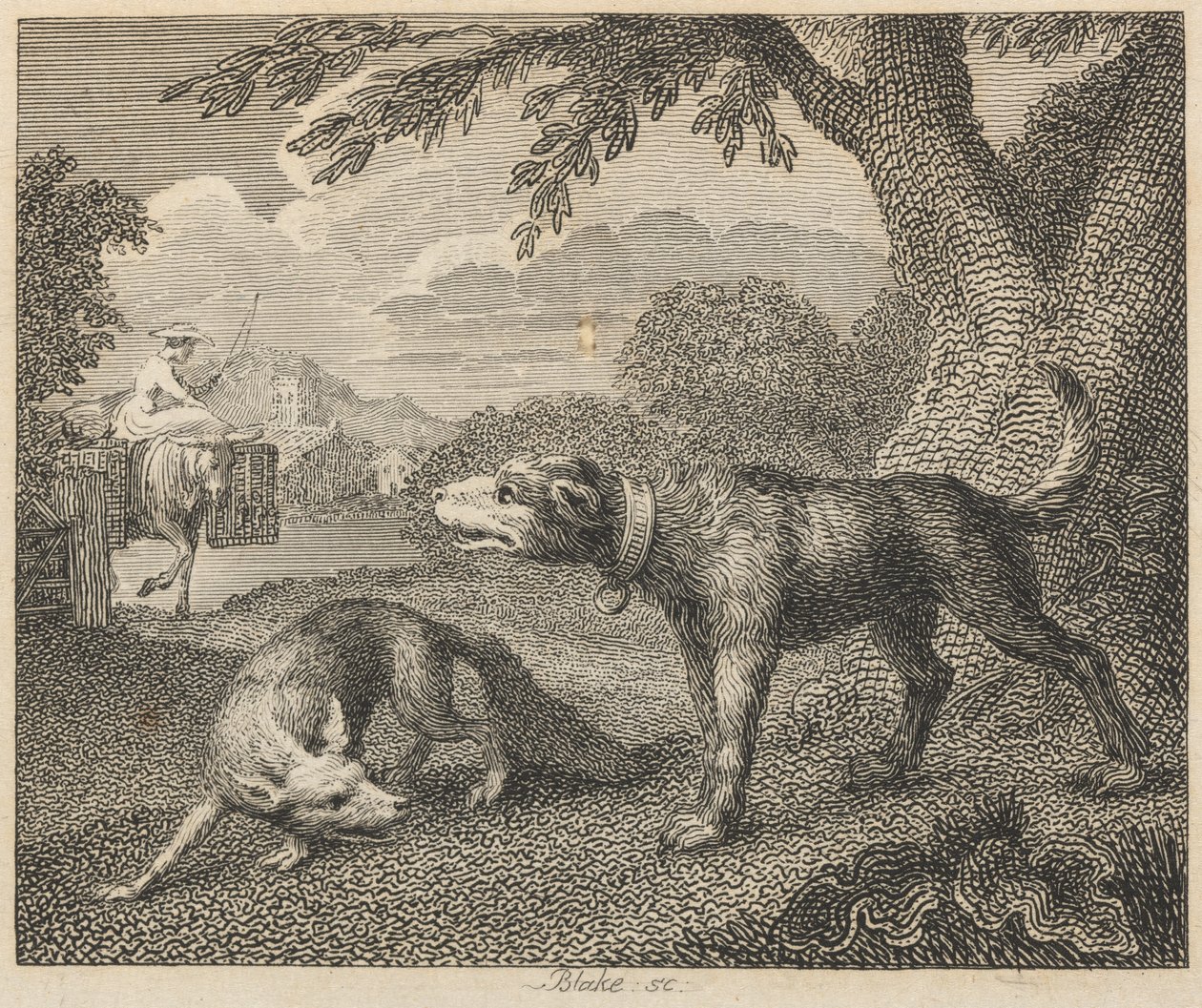 Hunden og reven av William Blake