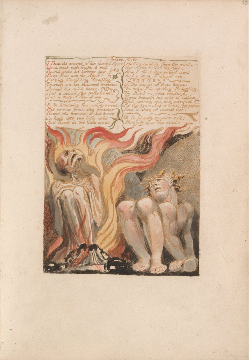 The First Book of Urizen, Plate 14, 7. From the Caverns of His Jointed Spine .... (Bentley 11) av William Blake
