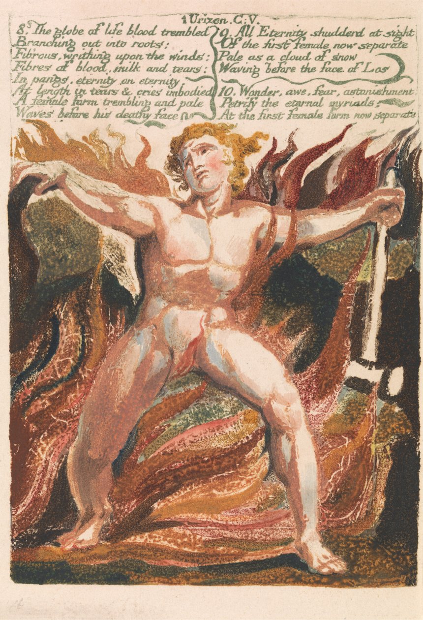The First Book of Urizen, Plate 15, "8. Livskloden blodet skalv ...." (Bentley 18) av William Blake