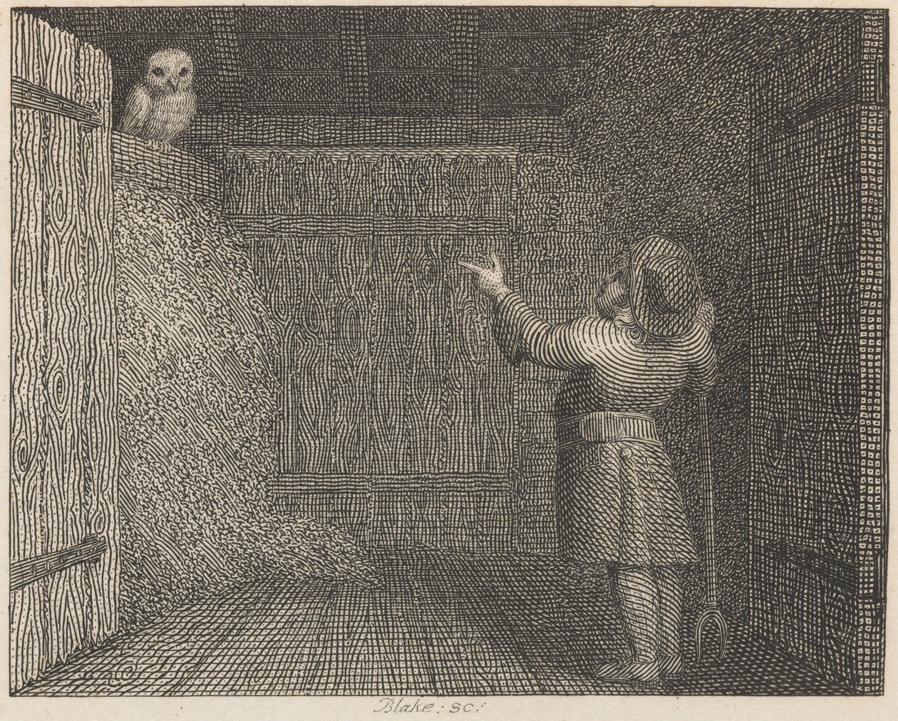 Uglen og bonden av William Blake