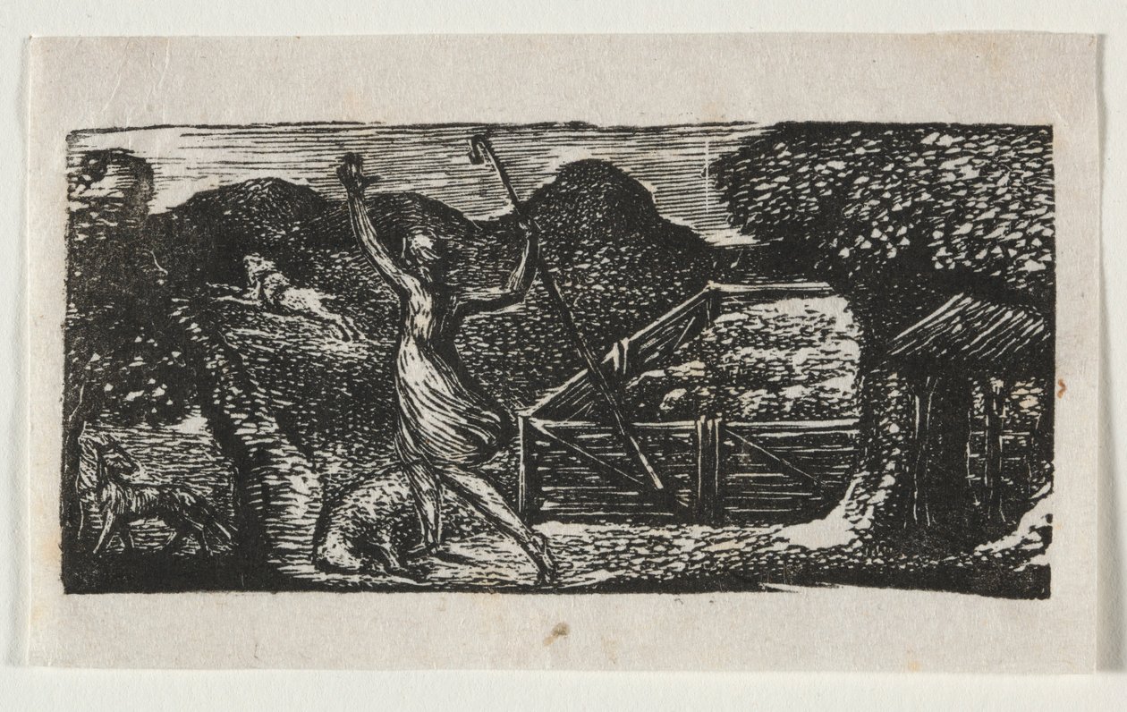 The Pastorals of Virgil, Eclogue I: The Shepherd jager bort en ulv, 1821. av William Blake