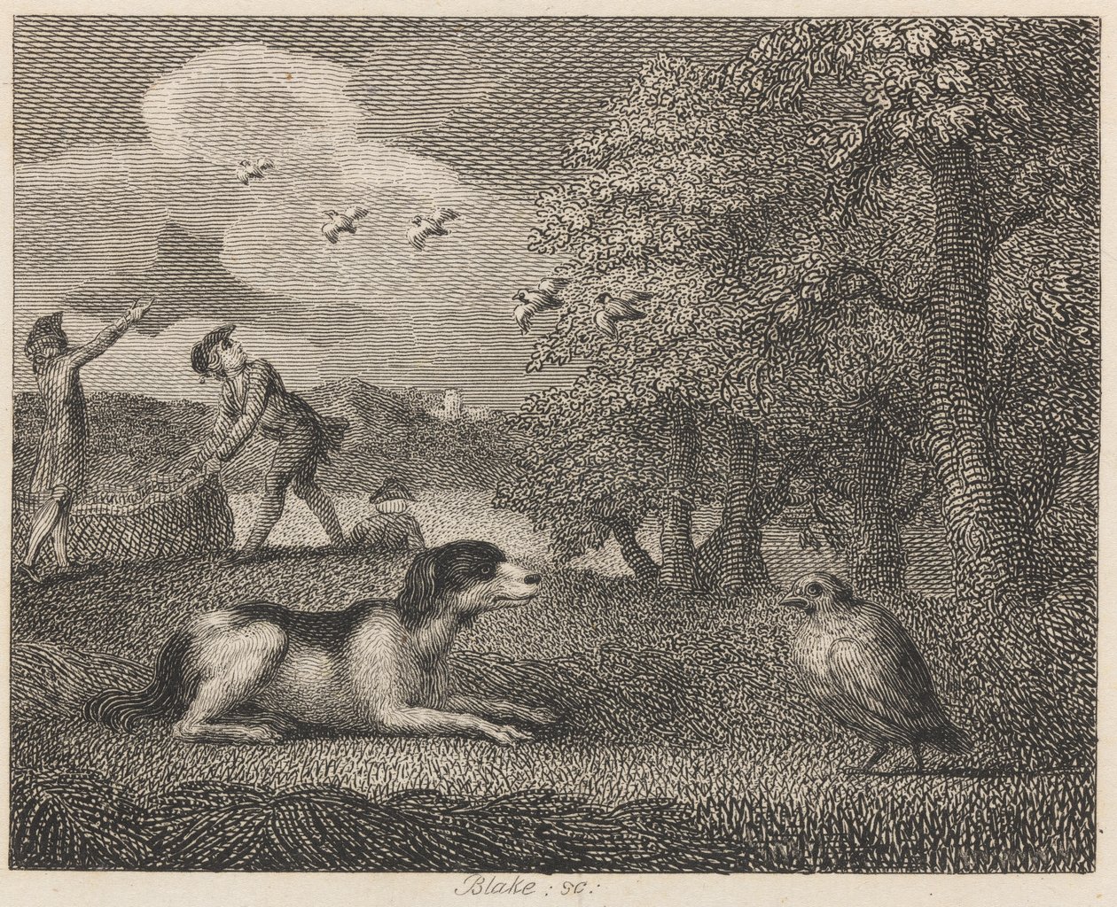 Settehunden og rapphønen av William Blake