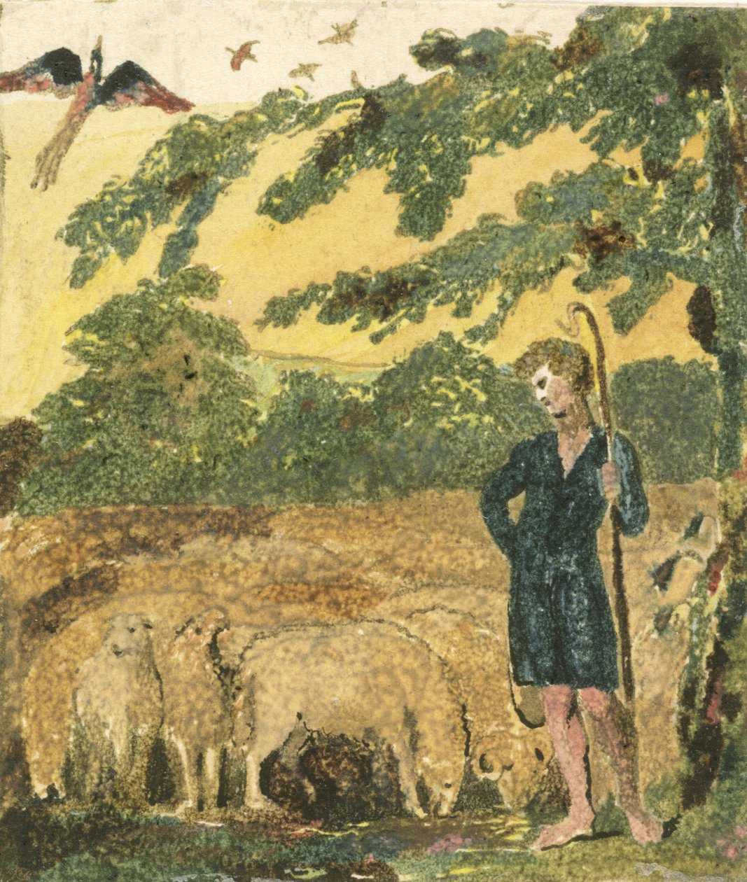 The Shepherd, fra "Songs of Innocence" av William Blake