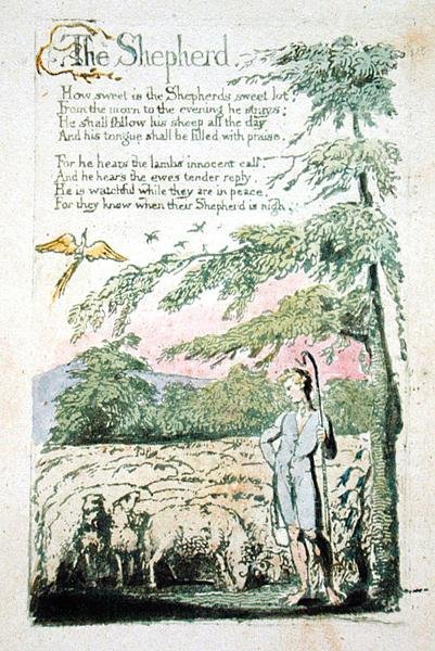The Shepherd, plate 4 recto fra 