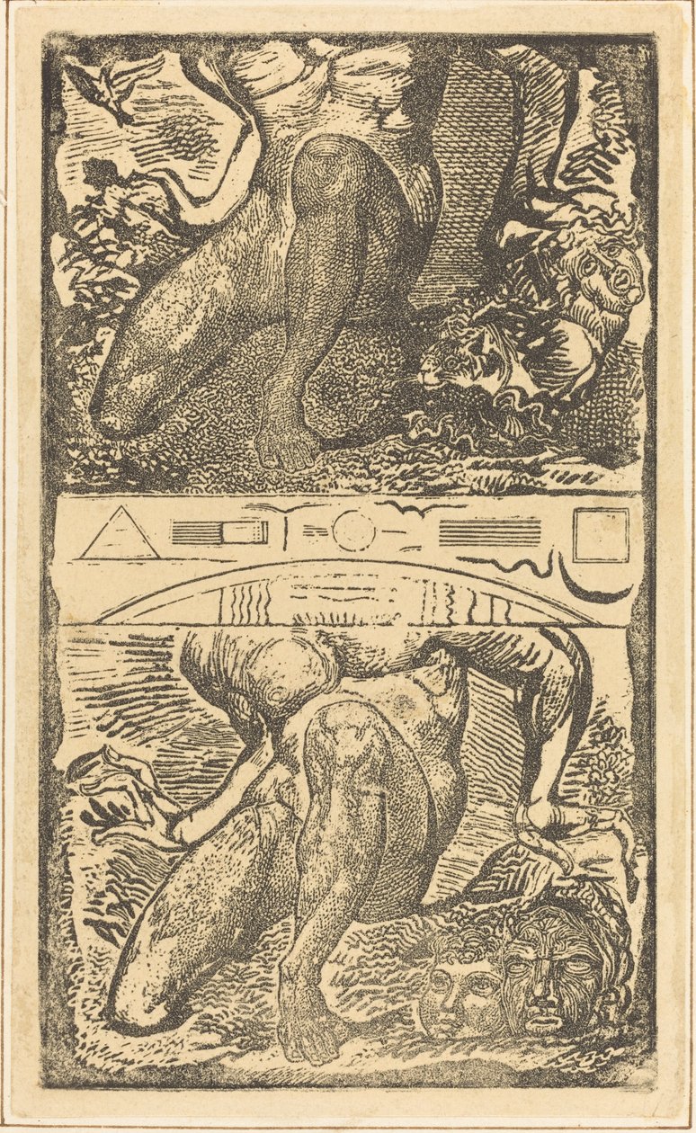Ukjent emne (la ham se opp i himmelen og le i den lyse luften) av William Blake