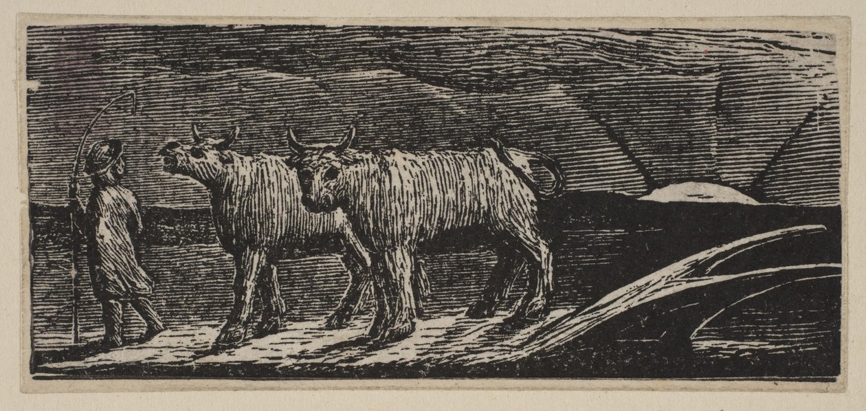 Unyokd Heifers, Loitering Homeward, fra Thorntons Pastorals of Virgil, 1821. av William Blake
