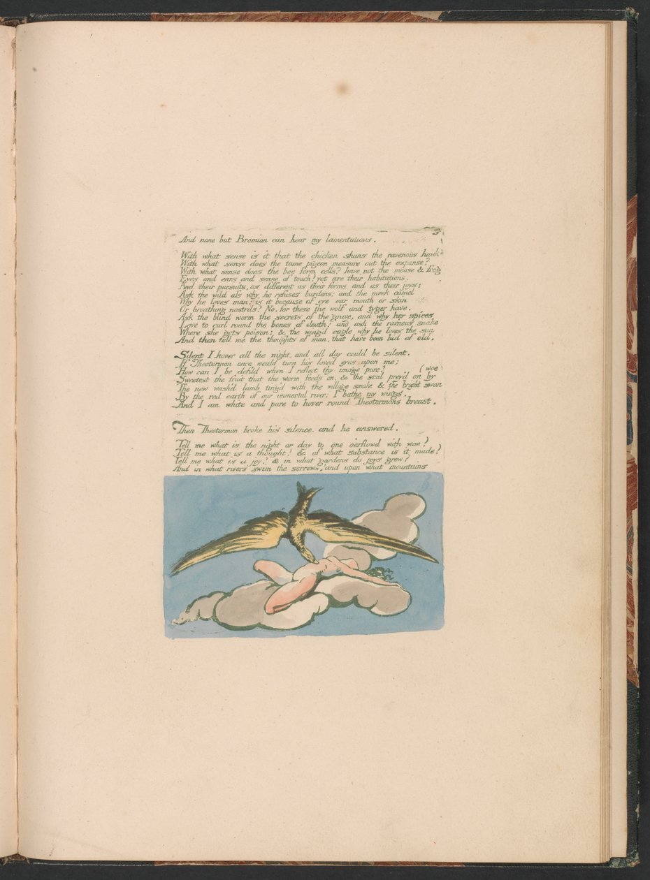 Visions of the Daughters of Albion, Plate 6, "Og ingen bortsett fra Bromian . . . ." av William Blake