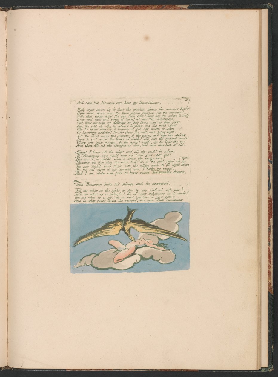 Visions of the Daughters of Albion, Plate 6, Og ingen andre enn Bromian. . . . av William Blake