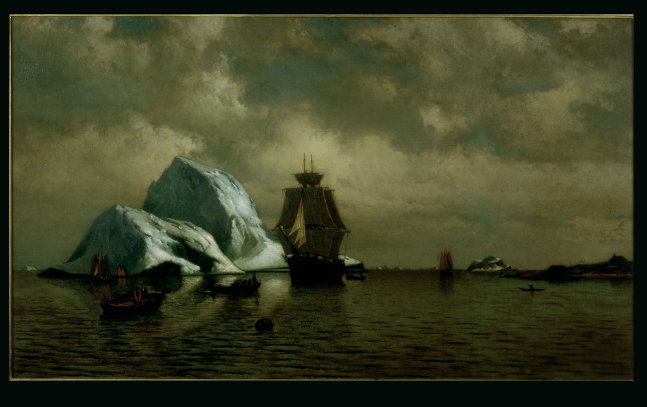  av William Bradford