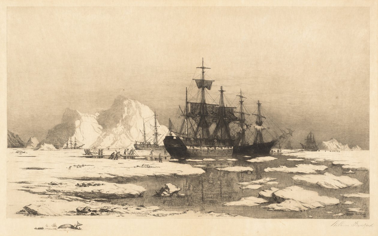 Blant isflakene av William Bradford