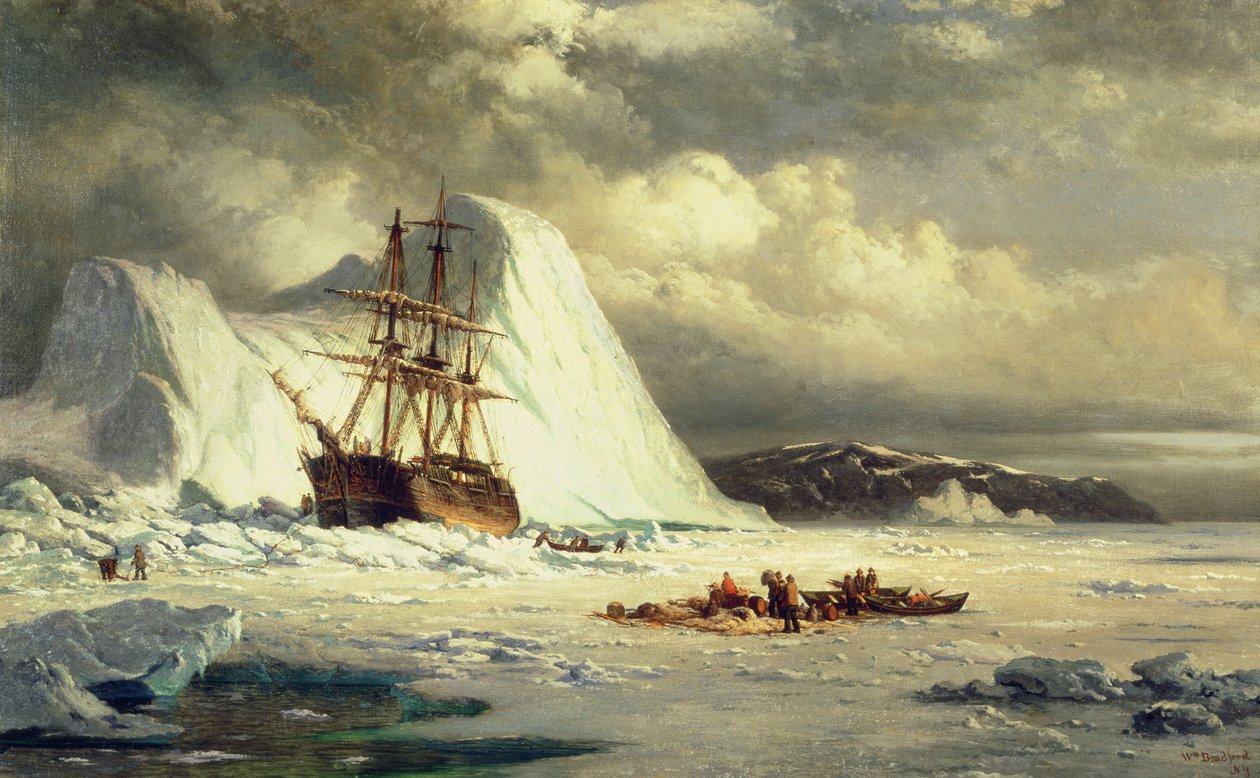  av William Bradford