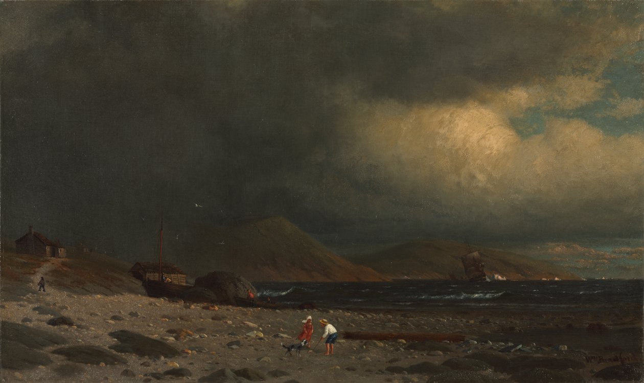  av William Bradford