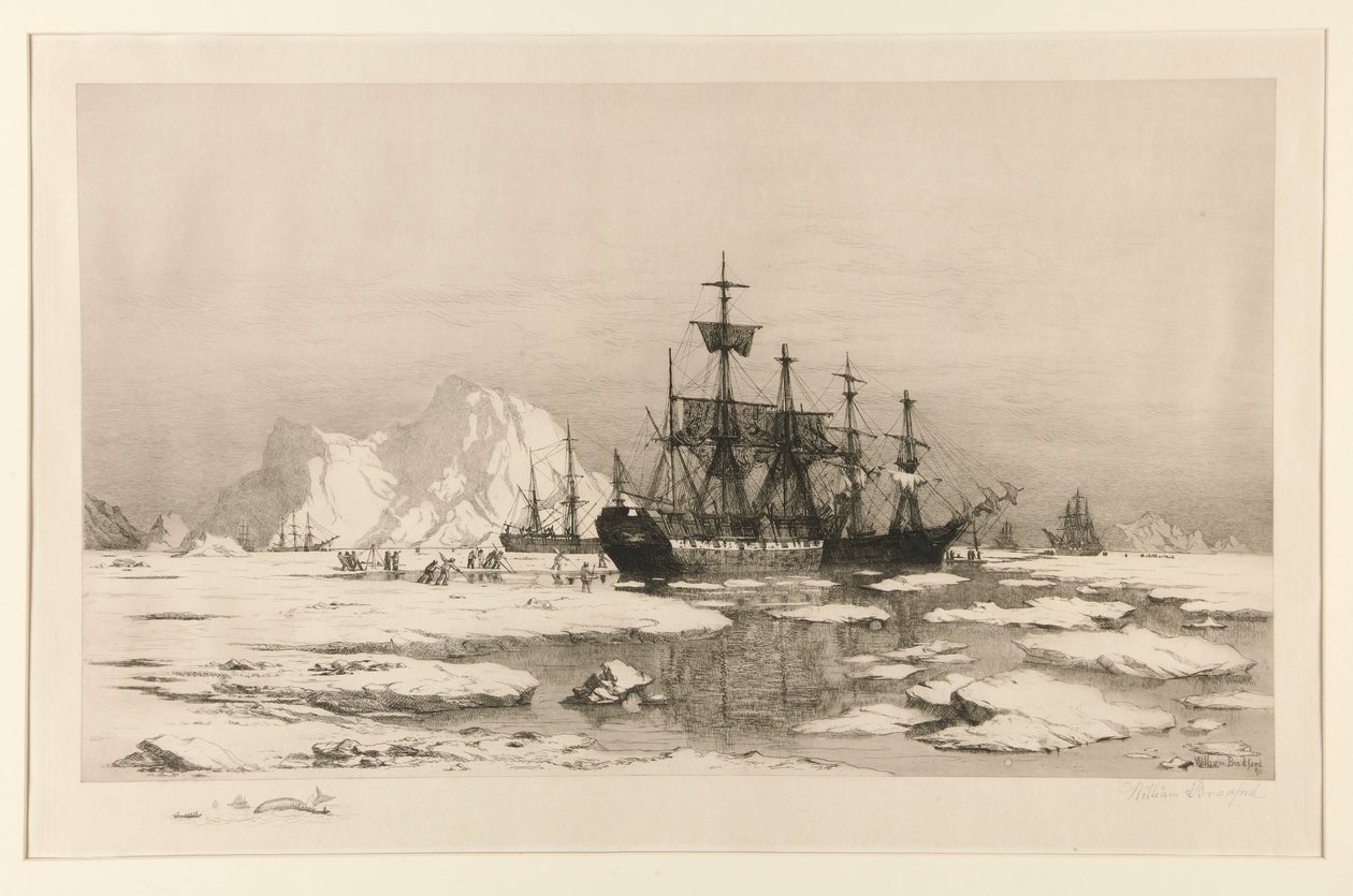 Sealers in the Arctic, etter maleriet: Among the Ice Floes, 1875 av William Bradford