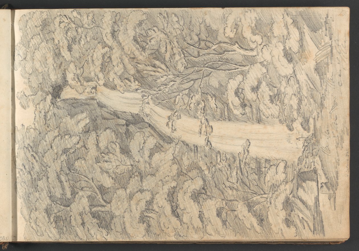 Lidford Fall av William Brockedon
