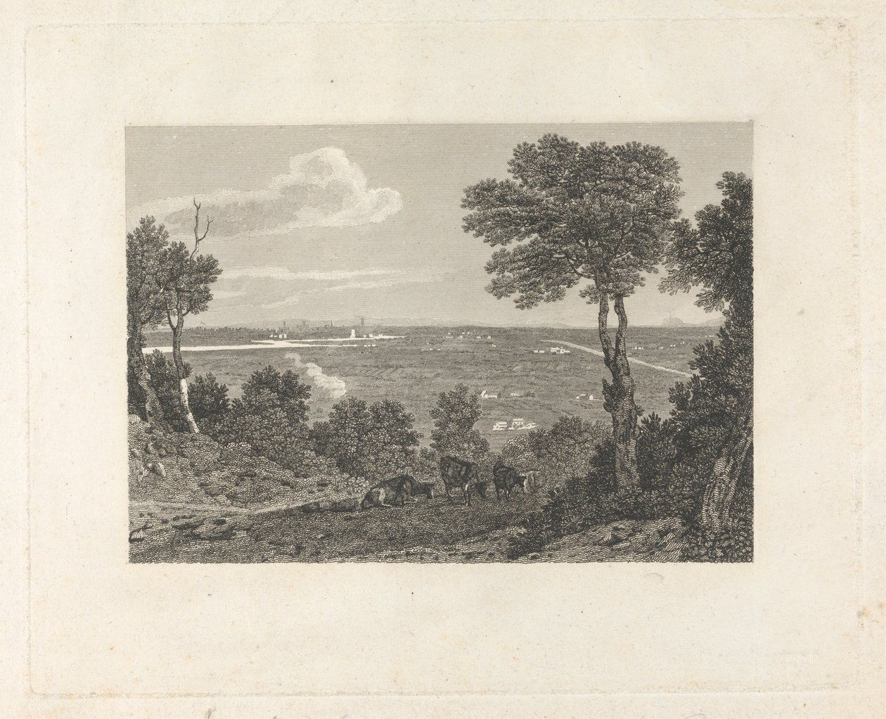 Fjernsyn over Chester av William Byrne