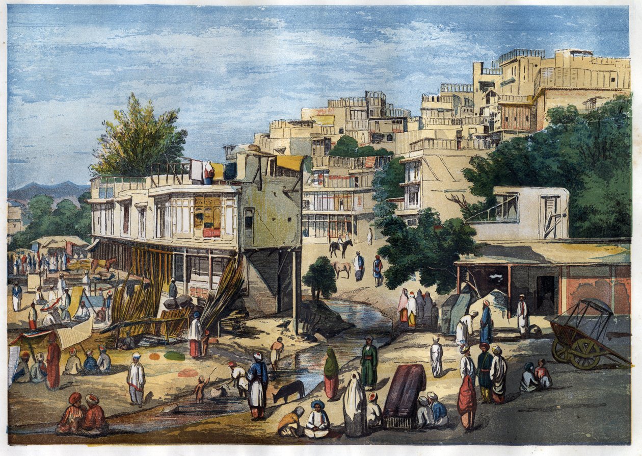 Utsikt over Peshawar, Pakistan av William Carpenter