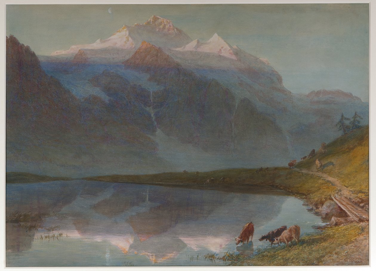  av William Collingwood