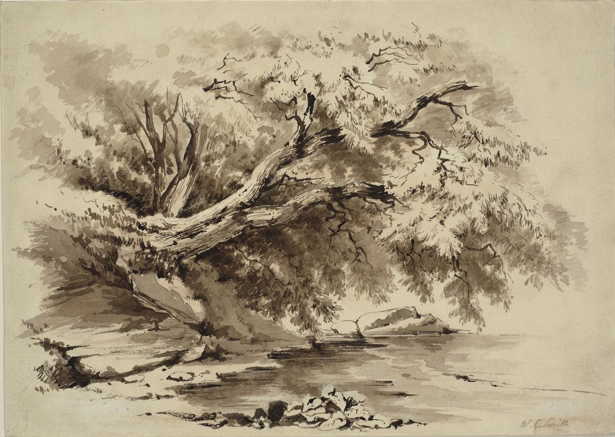 Landskap med trær som henger over en innsjø av William Collingwood Smith