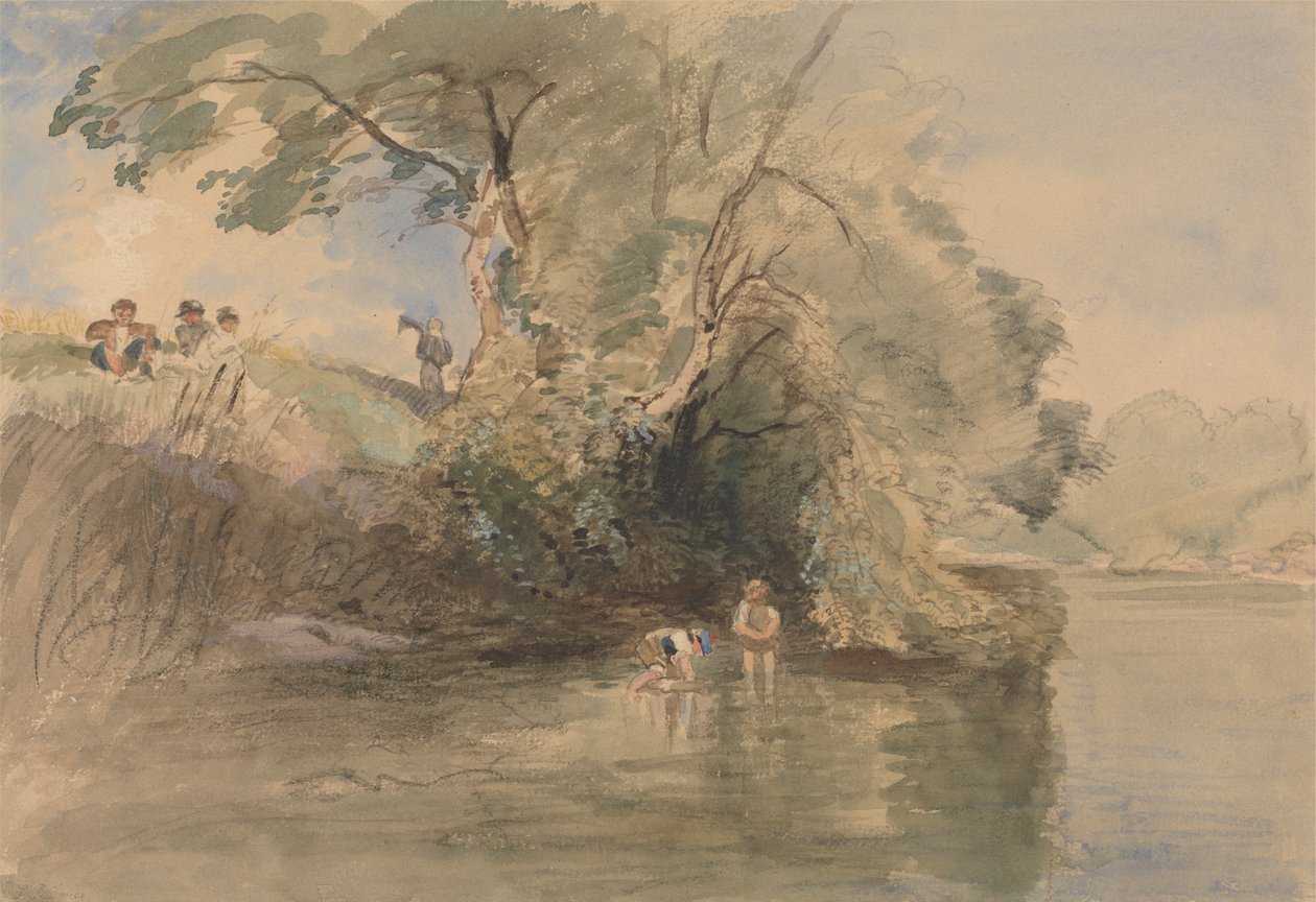 Padling av William Collins