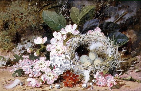 Stilleben av Fugleredet med Primulas av William Cruikshank